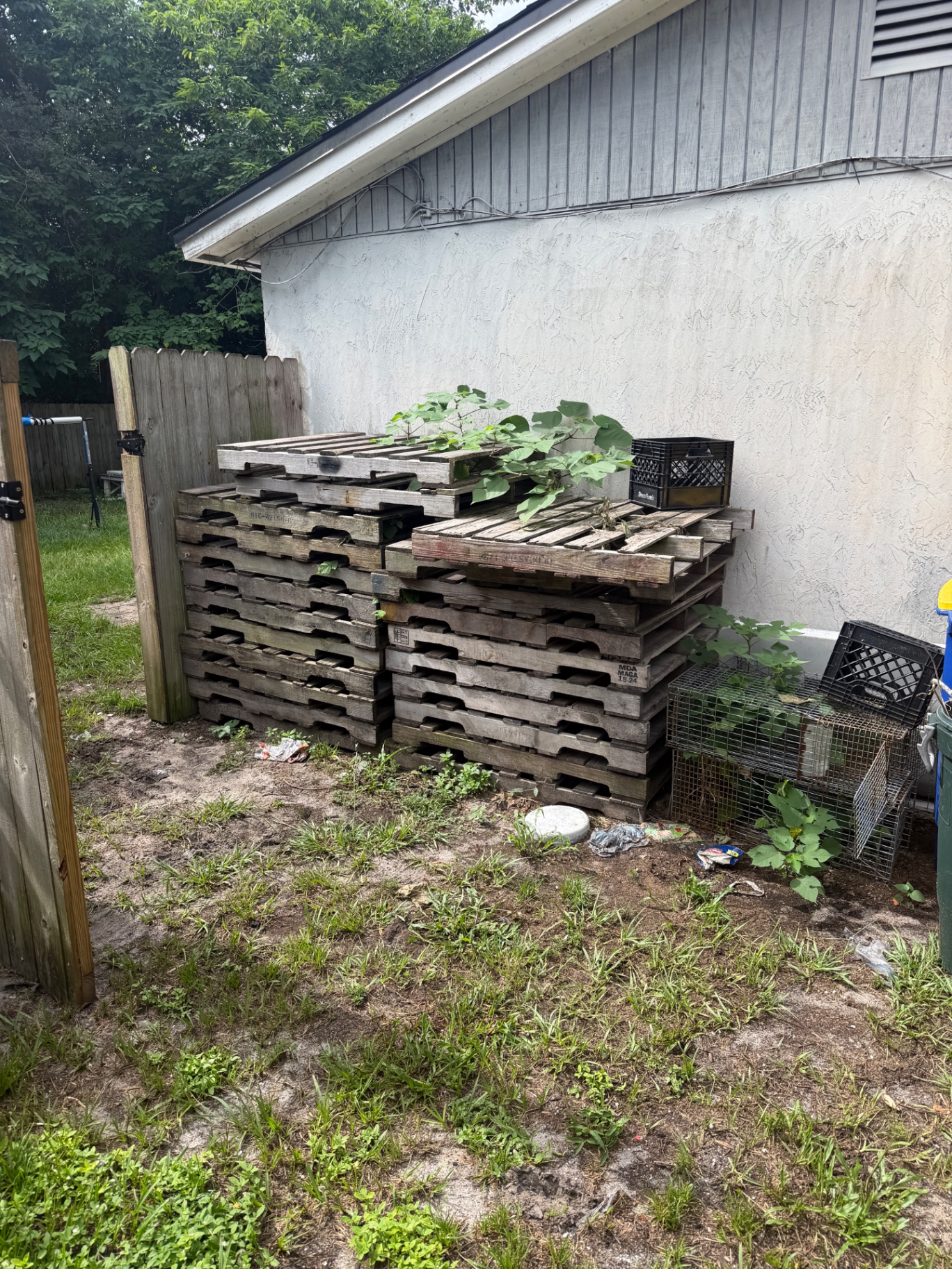 Stack of wooden pallets and debris along the side of a house before removal